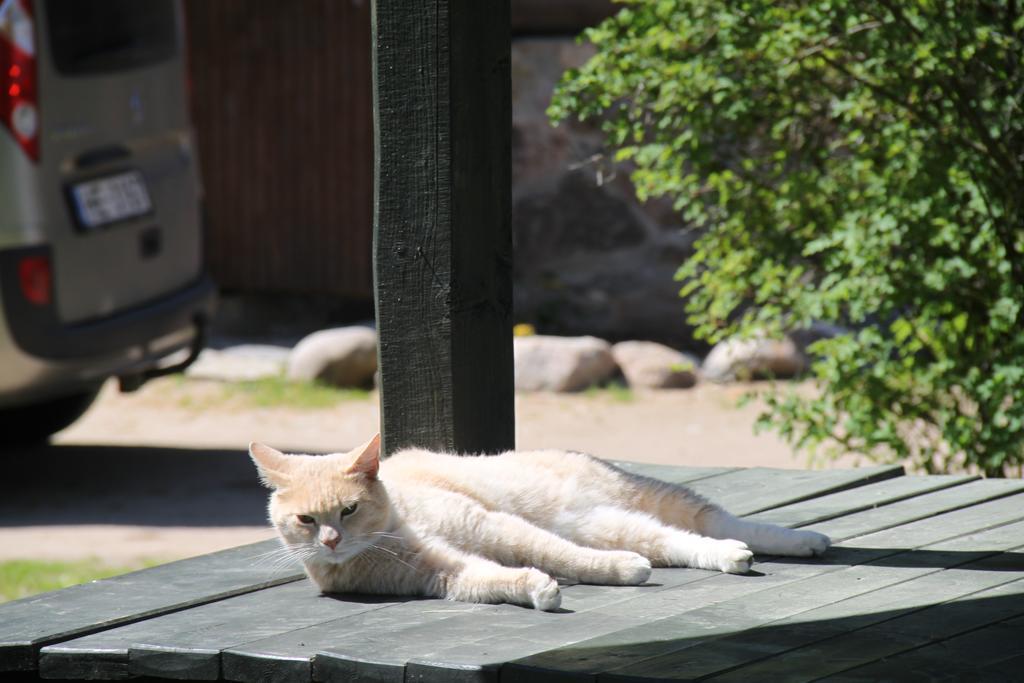 Vejavas Svētciems Exteriér fotografie